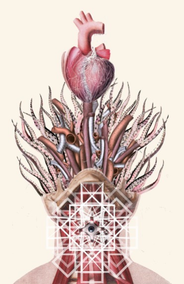 Anatomical Collages By Travis Bedel - 005