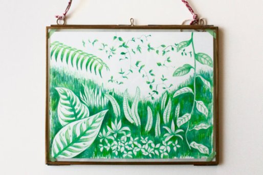 Still life photo of a framed nature illustration hang on a wall.