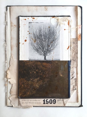 Collage of a tree photo printed on a vintage book.