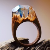 Still life photo of a ring with a tiny underwater landscape inside.
