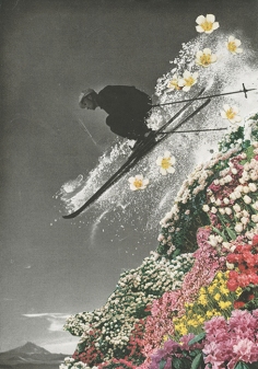 Man skiing and jumping over a flowery mountain.