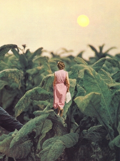 Tiny woman waling through giant plants.