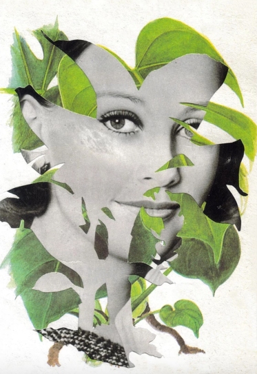 Woman portrait combined with plants.