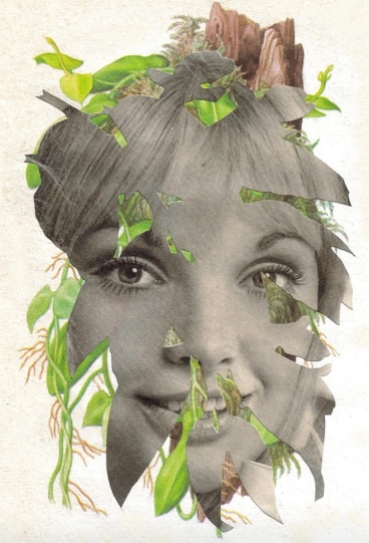 Woman portrait combined with plants.